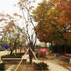 기업 참여 학교숲 6곳 추가 조성