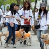 [서울포토] ’안내견과의 만남’