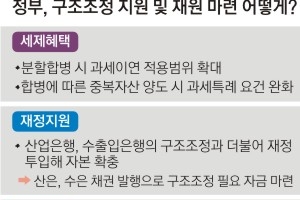 [한국판 양적완화 뜨거운 논쟁] 양적완화 하면 좋지만… 강제땐 중앙銀 독립성 흔들려 ‘고민중’