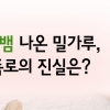 [카드뉴스] ‘썩은 밀가루’ 논란, 폭로의 진실은?