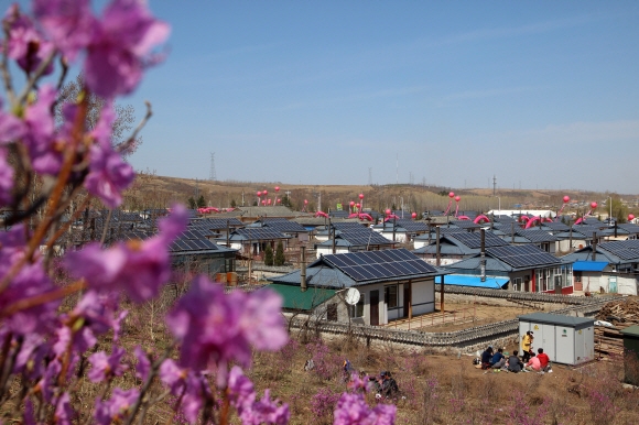 진달래촌 100여채 집마다 지붕에 태양광 패널을 설치해 놓았다.