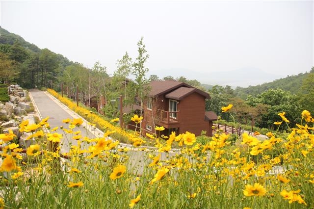 인천 강화군 석모도 자연휴양림.  강화군 제공