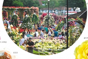 [우리동네 흥겨운 축제] ‘계절의 여왕’ 끝자락에 ‘꽃의 여왕’ 만나볼까