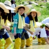 [서울포토] 웃음꽃 피는 어린 농부들의 모내기