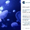 ‘허당 미남’ 유연석, 말미잘 인증샷 공개? “저는 해파리인데요...”