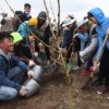 몽골을 푸르게… 대한항공 나무심기 봉사