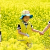 “누가 꽃이야?”… 꼬마 숙녀들 유채꽃밭 나들이