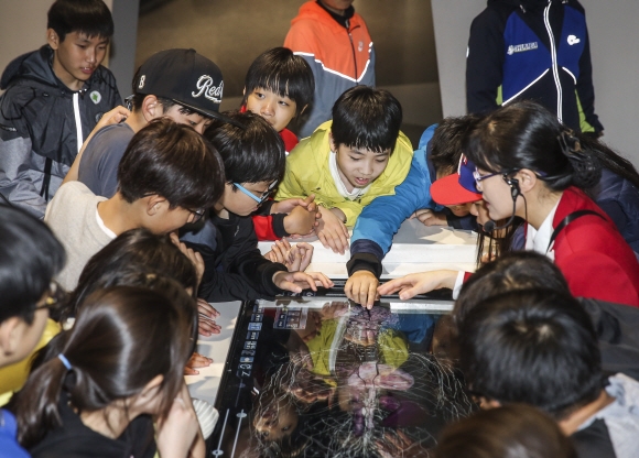 학생들이 에너지방사선 의학관에서 인체구조와 기능에 대해 설명을 듣고 있다. 국립부산과학관 제공