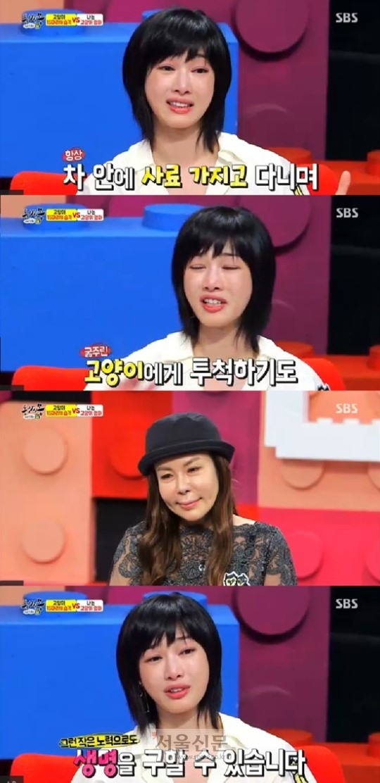 ‘동상이몽’ 캣맘