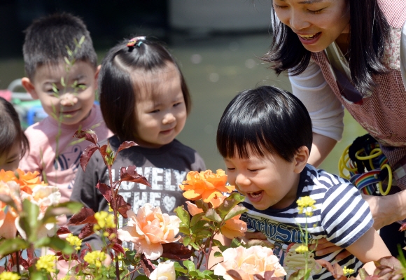 수천만 송이 장미꽃이 절정을 이루고 있는 중랑천에서 20일부터 열리는  ’2016 서울장미축제’를 앞두고 18일 오전 천변 공원에 나들이 나온 유치원 어린이들이 장미향기를 맡으며 즐거워하고 있다.  강성남 선임기자 snk@seoul.co.kr