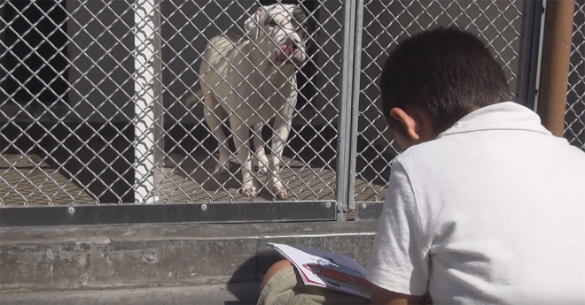 유튜브 영상 캡처