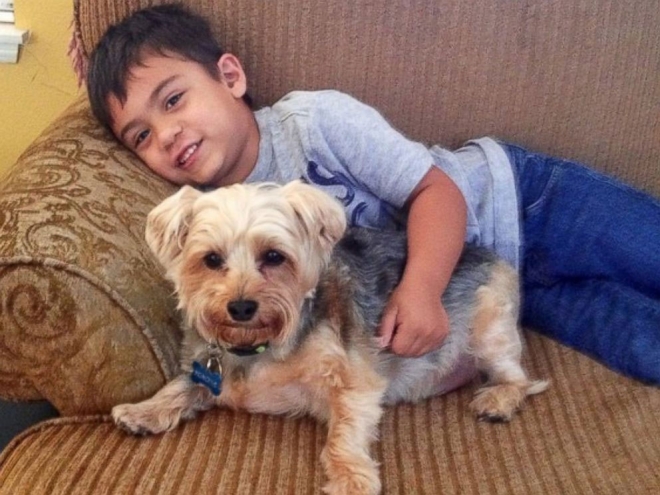 사진=Lisa Dekowsk-Ferranti