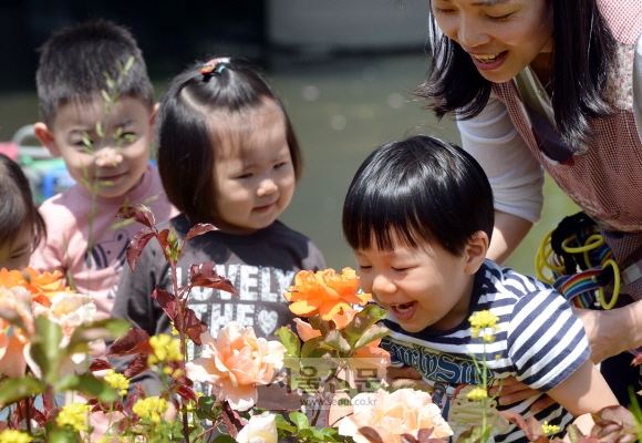 중랑천변에 나들이 나온 유치원생들이 장미 향기를 맡고 있다.  강성남 선임기자 snk@seoul.co.kr