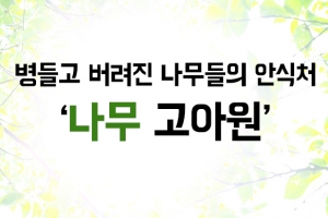 [카드뉴스] “그 많던 나무는 어디로 갔을까?”-하남 나무 고아원