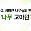 [카드뉴스] “그 많던 나무는 어디로 갔을까?”-하남 나무 고아원