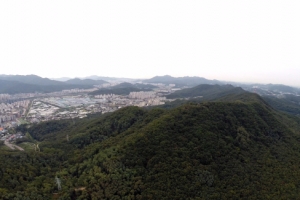 숲과 호흡하며 트레킹… 서어나무 군락지 품은 도심 속 둘레길