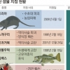 [외래 생물의 역습] 생태계 훼손 현주소