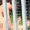 대학생 커플, 대낮 대학 잔디밭서 성관계 ‘경악’