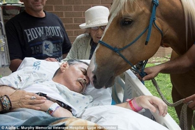 사진=Audie L. Murphy Memorial Veterans Hospital/Lupe Hernandez