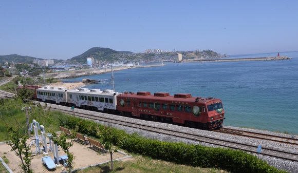 바다열차가 묵호항 해안선을 따라 달리고 있다.