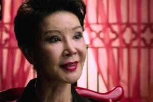 이용녀 재산탕진 “유기견 치료하다 빚까지..안 할수 없는 일”