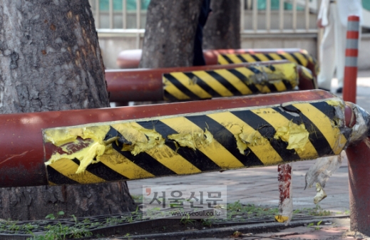 [서울포토] 만신창이 나무보호 장치
