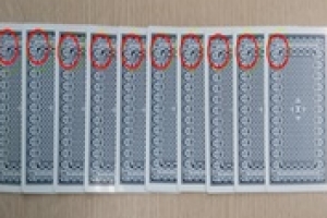 아파트에 도박장 개설, 술집종업원 상대 5억대 판 벌인 일당 검거