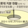 결국 발목 잡은 누나… 호텔롯데 상장 연기