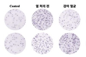 열에 잘 견디는 인간 성장호르몬 나왔다…“화장품 적용 기대”