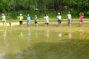 [서울 핫 플레이스] 700여종 생물의 보고… 도심 아이들의 놀이터