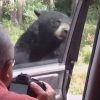 차 문 잡아 여는 야생 곰에 일가족 경악