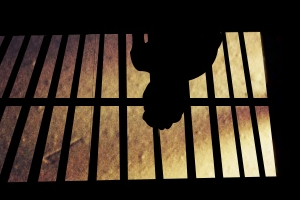 ‘뺑소니’ 묻힌 남편 청부살해 12년 만에 공범 실언 들통