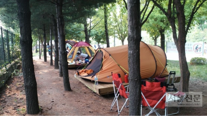 서울숲 여름 캠핑장