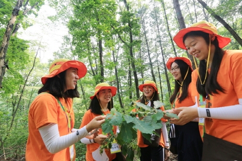 국립산림과학원과 유한킴벌리가 매년 여름방학에 개최하는 ’숲 체험 여름학교-그린캠프’. 사진=유한킴벌리 제공.
