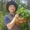 산양삼 전통 재배방식 혁신해 대박 낸 청년 영농인