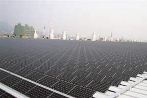 “감귤 대신 전기 농사 짓겠다” 제주 농가 신청 봇물