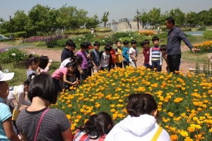 [서울 핫 플레이스] 허브천문공원·가족 캠핑장… 강동은 자연도 예술이네