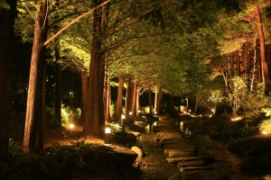 연꽃 유명한 양평 세미원 25일부터 야간 개장