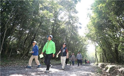 제주 치유의 숲