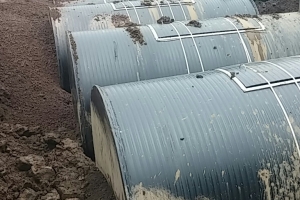 제주서 18년 만에 발생 돼지콜레라 중국발 가능성 커