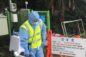 제주서 돼지열병 발생, 중국발 병원성 바이러스 가능성