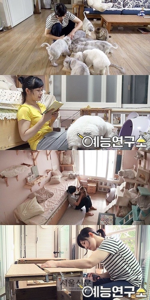 ‘10마리 고양이 엄마’ 선우선