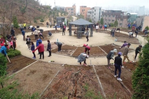 [정 나누고 스트레스 날리는 행복한 도시농업] 친환경 도시텃밭 분양하는 관악