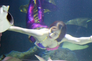 안녕, 인어아가씨