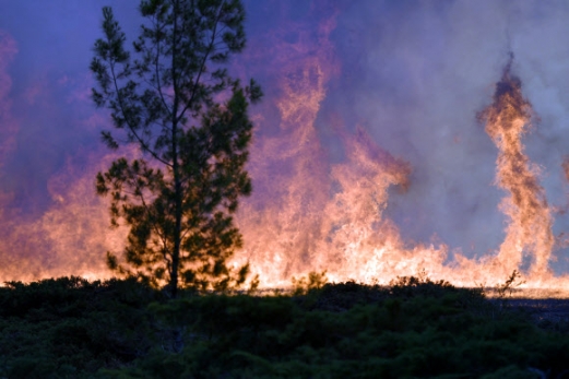 [포토]캘리포니아 곳곳에 산불