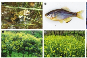 16년 만에… ‘난지도’ 본래 이름 되찾다