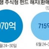 브렉시트 쇼크에도 펀드 가입자들 동요 없었다