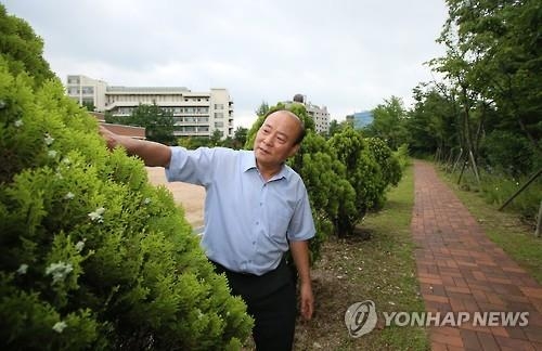 남월진씨가 6일 서울 중구 창덕여중 교정에서 자신이 기증한 나무를 살펴보고 있다. 연합뉴스