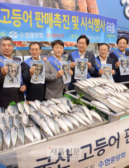 국산 고등어 홍보
