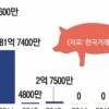 농가 안정화는커녕… 돈육선물시장 3년째 개점휴업
